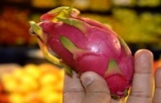 Şekli ve fiyatı ile herkesi şaşırtan ejder meyvesi...