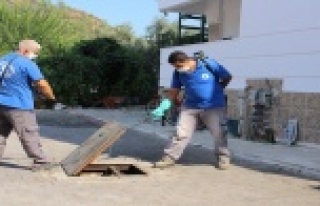 Sinekle mücadele hız kesmiyor