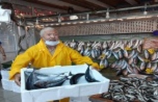 Tezgahlarda palamut bolluğu