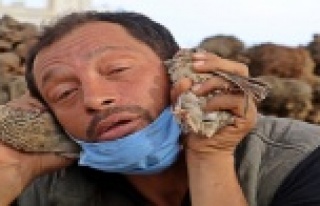 Yanan evine değil telef olan bıldırcınları için...