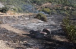 Yangın traktör ve arı evini küle çevirdi