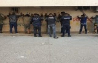 300 polisle dev uyuşturucu operasyonu