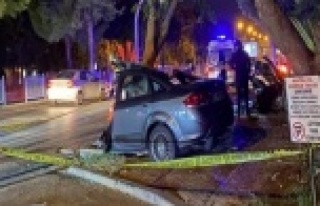 Ağaca çarpan otomobil ikiye bölündü: 1 ölü,...