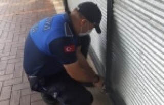 Alanya'da 10 dükkan mühürlendi