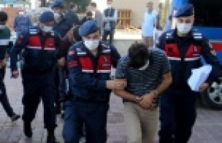 Alanya'da girdikleri bahçeden 7 bin liralık...