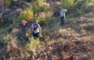 Alanya'da mezarlıklarda temizlik raporu