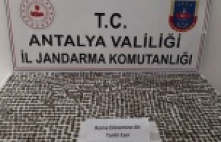 Alanya'dan götürdükleri 1574 adet sikkeyi...