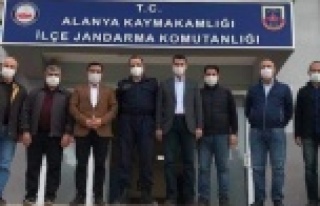 Alanya jandarmada avokado hırsızlığı zirvesi