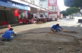 Alanya’da parke bakım ve onarım çalışması