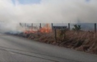 Antalya'da aynı gün içerisinde çıkan 3 ayrı...