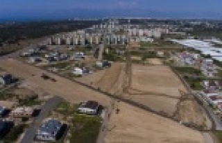 Antalya’da şehrin göbeğine buğday tarlası