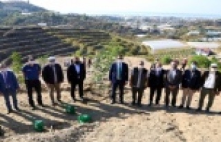 Başkan Yücel öğrencilerle ağaç dikti