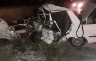 Feci kazada 3 ölü, 2 yaralı var