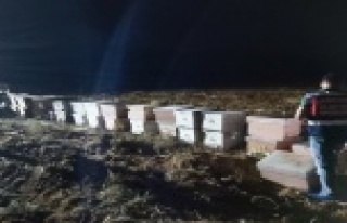 Genç girişimcinin 90 kovan arısından 30’u telef...