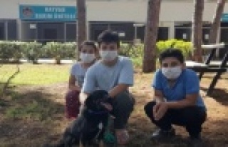 Gençler hayvan sevgisini Alanya Belediyesi ile öğreniyor