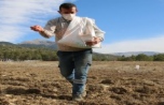 Gündoğmuşlu çiftçiler ekime başladı