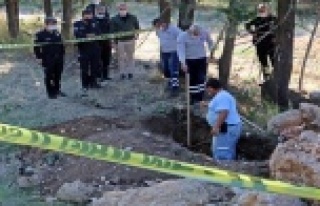 Hastalanınca uyutulup gömülen Çin Aslanı cinsi...