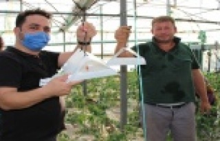 Örtüaltı üretimde entegre mücadele projesi