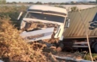 Şarampole uçan tır sürüsü ağır yaralandı