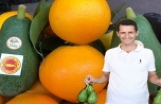 Sevilgen Alanyaspor'un yenilmezlik sırrını...