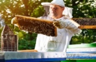 TAB'ın gündemi, 'sözleşmeli arıcılık'...