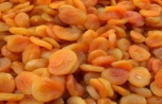 Türkiye, 90 ülkeye kuru kayısı ihraç etti