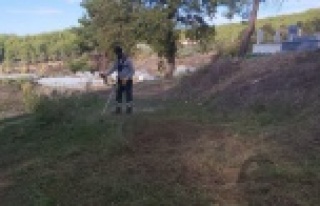 Alanya'da 215 mezarlığa bakım