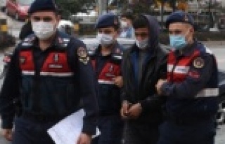 Alanya'da 2 günde 7 motor çaldı