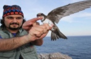 Alanya'da Akkarınlı Ebabil'den 58 saatte...