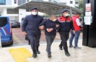 Alanya'da bahçelerden iki ayda 260 bin TL değerinde...