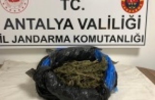 Alanya'da otobüs terminalinde uyuşturucu operasyonu