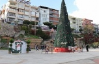 Alanya’da dev Noel ağacı