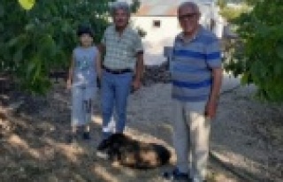 Alanyalı eski başkanın eşi koronaya yenildi