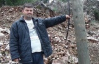 Antalya'da akıl almaz hırsızlık olayı