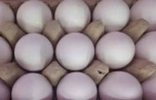 Bir koli yumurta 1 kilo kıymayı yakaladı