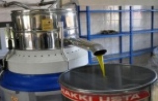 Bu kez avokadodan yağ elde edildi