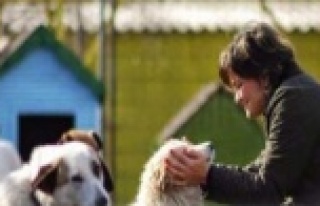 Büyükşehir'den Petshop ve Yerel Hayvan Koruma...