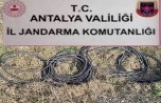 Dinamo ve kablo hırsızları jandarmadan kaçamadı