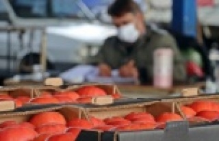 Domates ihracatı yasağı yeniden gözden geçirilsin