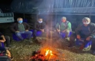 Domatesin fiyatı artınca seralara dadanan hırsızlar...