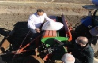 Ekim yapılamayan alanlar tarıma geri kazandırılıyor