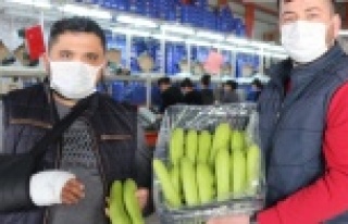 Gazipaşa'da tarımda siparişe göre üretim...