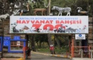 Hayvanat Bahçesi ziyarete kapatıldı, sosyal tesisler...