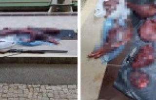 Kaçak yaban keçisi avı yapan şahıs yakalandı