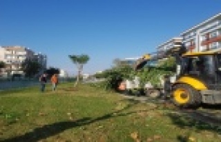 Kent merkezinde kapsamlı bakım-onarım