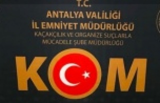 Kot pantolonla sevkiyatı yapılan sahte dolarlar...