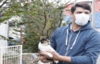 Mola yerinde kaybettiği kedisi için 400 kilometre...