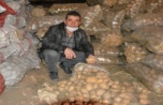 Patates depolarda alıcı bekliyor