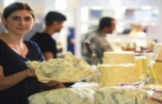 Peynir için online atölye