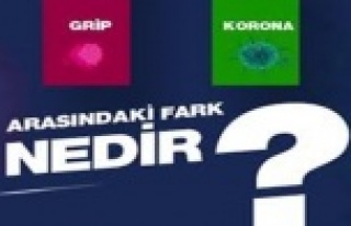 Soğuk algınlığı ve grip, korona virüsten nasıl...